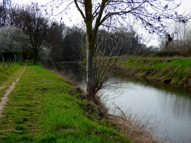Weiter geht der Weg an der Innerste lang