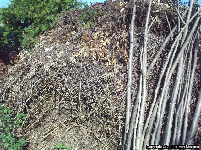 Holzschnitt- und Laubhaufen | Foto: GvMeegen