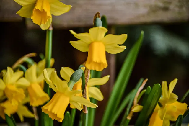 #SpringIsHere2026

Early Morning Moods | Foto: Christoph Niersmann