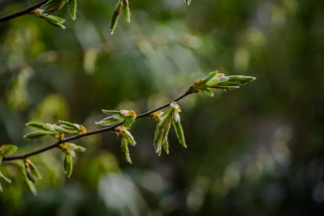 #SpringIsHere2026

Early Morning Moods | Foto: Christoph Niersmann