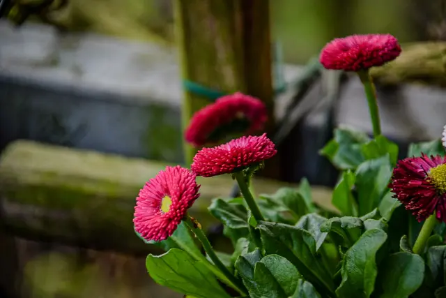 #SpringIsHere2026

Early Morning Moods | Foto: Christoph Niersmann