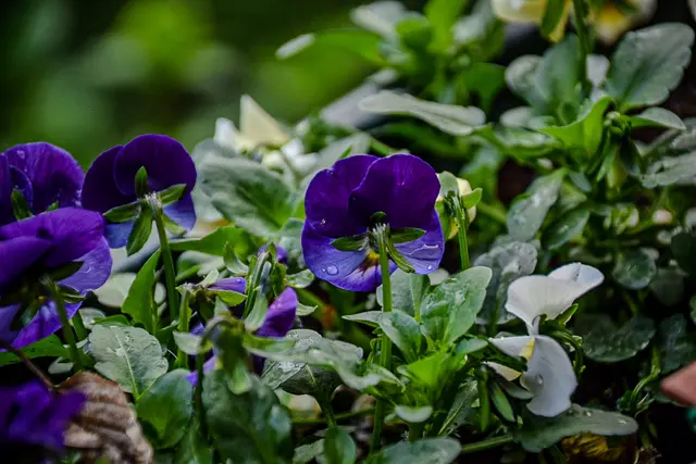 #SpringIsHere2026

Early Morning Moods