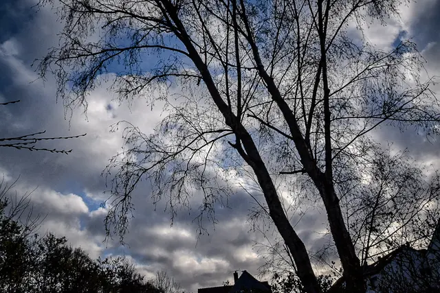 #SpringIsHere2026

Early Morning Moods | Foto: Christoph Niersmann