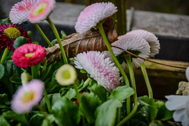 #SpringIsHere2026

Early Morning Moods