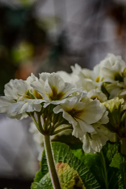 #SpringIsHere2026

Early Morning Moods | Foto: Christoph Niersmann