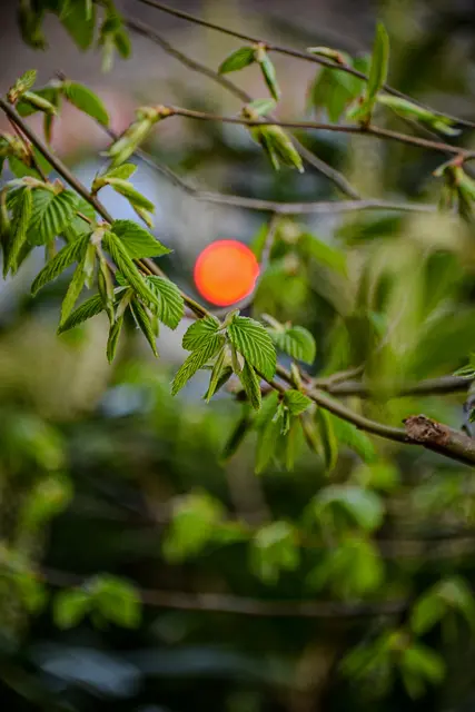#SpringIsHere2026

Early Morning Moods | Foto: Christoph Niersmann