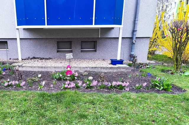 Hyazinthen unterm Balkon