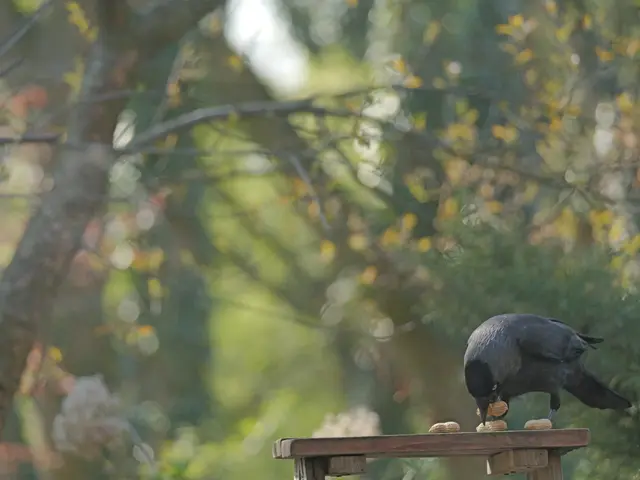 Aber jetzt wirds...