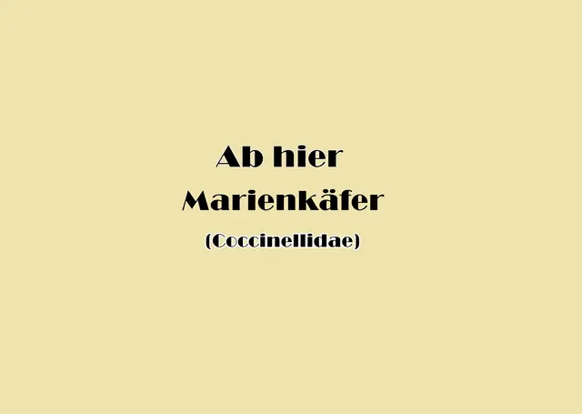 Foto: GvMeegen