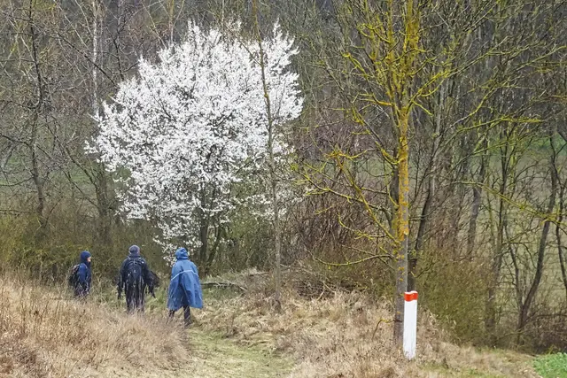 Abstieg vom Adonisröschenhang