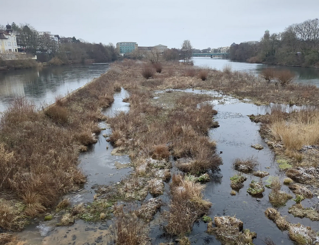 An der Ruhr in Mülheim | Foto: Astrid Günther