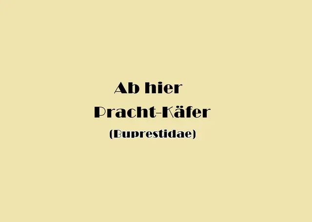 Foto: GvMeegen