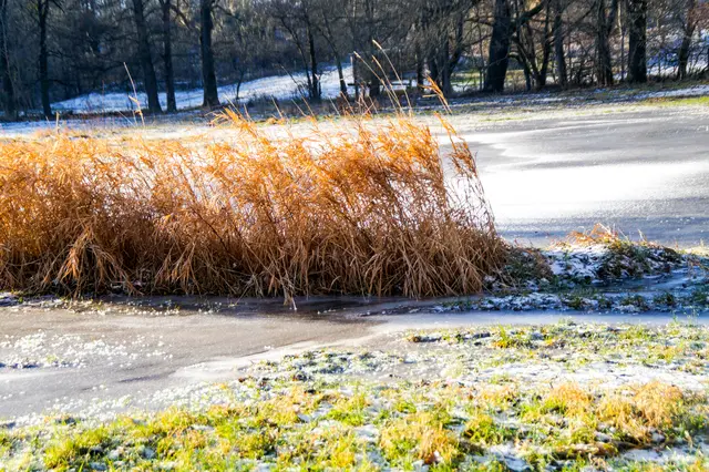 hier an der Kalkhütte hatte eine leichte Überschwemmung durch die Eine die gesamte Flusslandschaft im Januar 2017 unter Wasser gesetzt