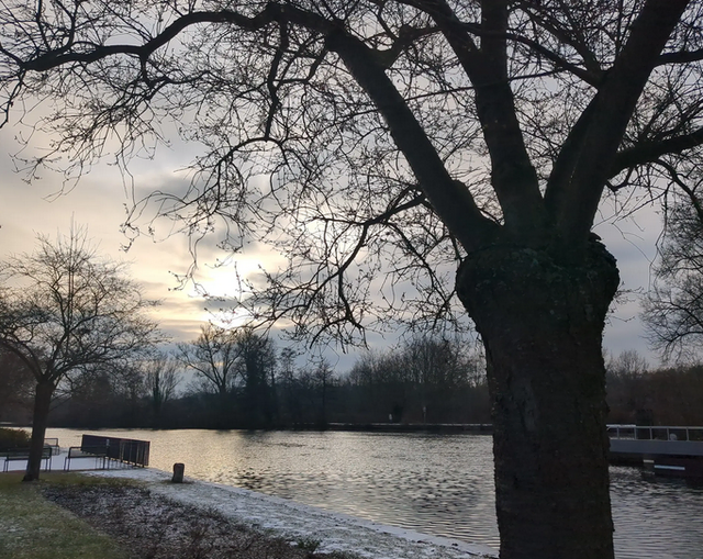 An der Ruhr in Mülheim | Foto: Astrid Günther