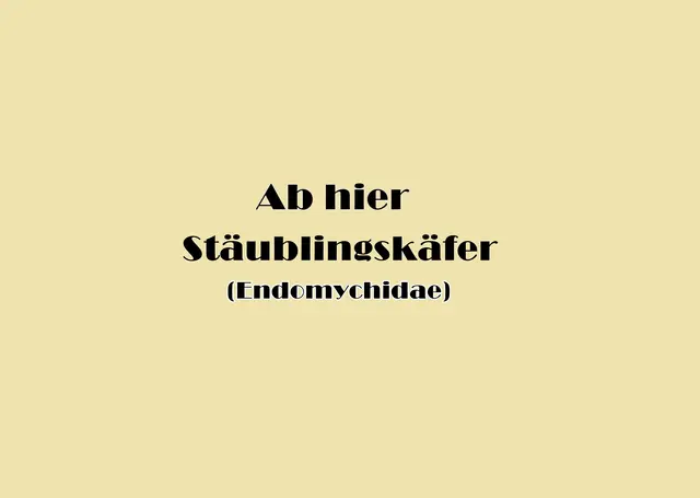 Foto: GvMeegen