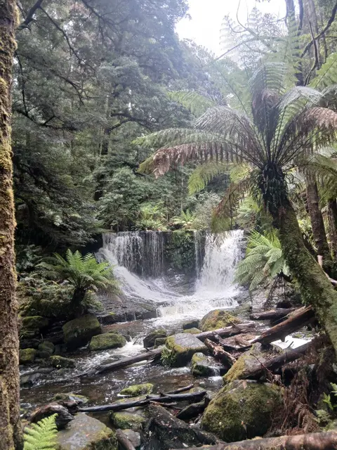 Im Tasmanien-Nationalpark | Foto: Privat, Jan./Feb. 2026