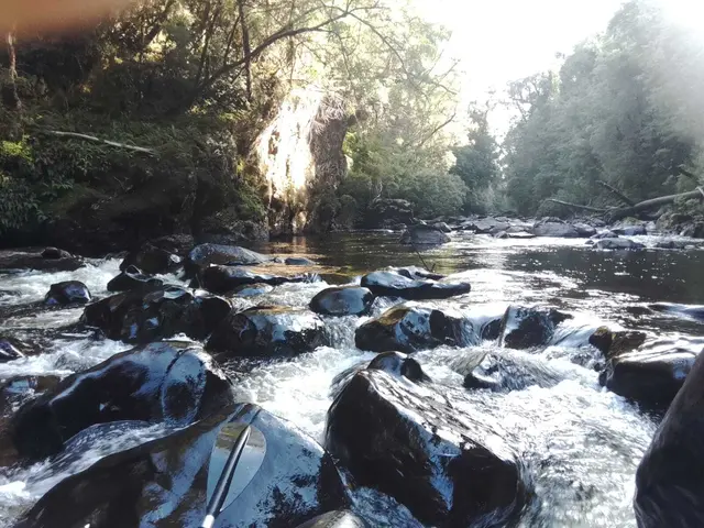 Steiniges Flussbeet in Tasmanien | Foto: Privat, 15.03.2026