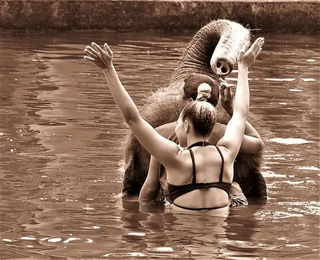 Im Elefant Safari Park, Sumatra Elefanten auf Bali