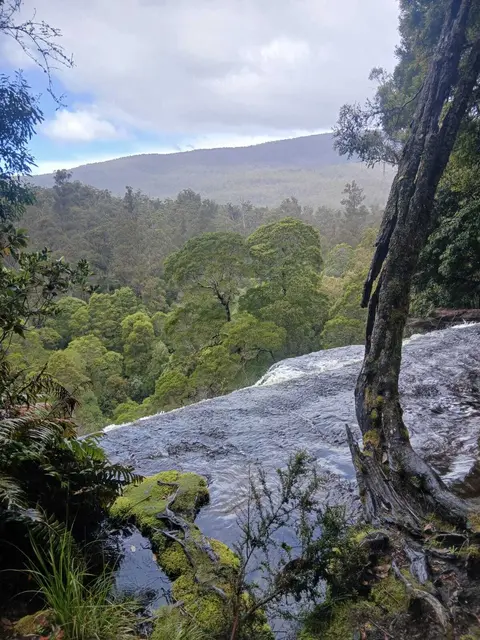 Blick vom Three Capes Track (Fernwanderweg) in Tasmanien, Australien | Foto: Privat, Jan./Feb. 2026