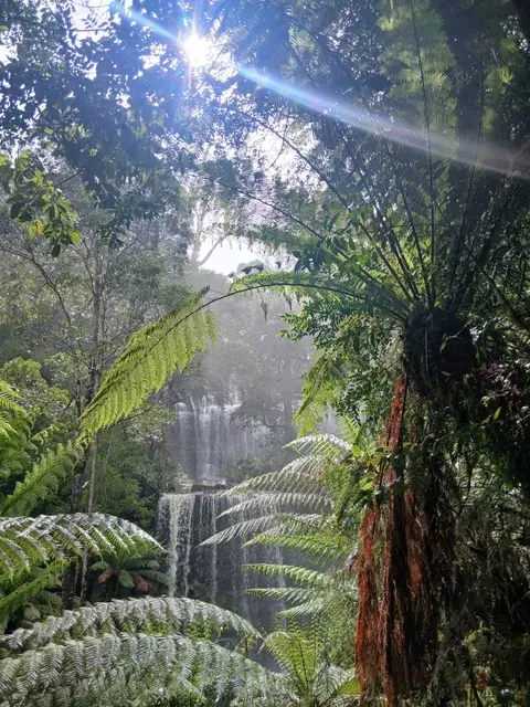 Im Tasmanien-Nationalpark | Foto: Privat, Jan./Feb. 2026