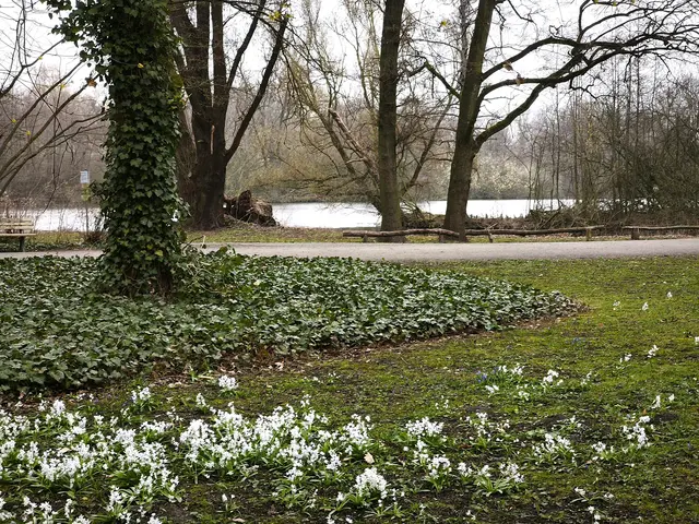 Das Ganze noch einmal aus der Nähe | Foto: Shima Mahi