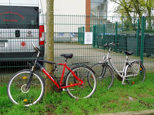 Fahrräder auf Grünstreifen an einem Baum und Gitterzaun fest angeschlossen. Ort: Parkplatzanlage Hauptbahnhof Wesel. Beschriftetes DIN A4 Papierblatt der Stadt Wesel mit Aufklärungshinweis. (siehe Bildmitte)  | Foto: Siegmund Walter, 26.03.2026, 9:24 Uhr