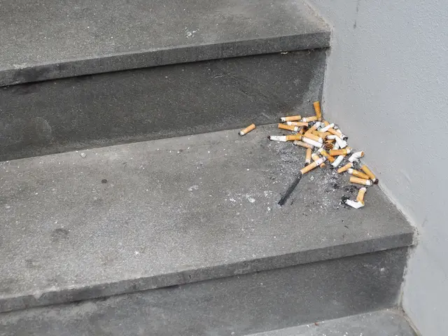 Zigarettenkippen im Hauseingangsbereich auf Treppenstufe | Foto: Siegmund Walter, 08.02.2026, 14:11 Uhr
