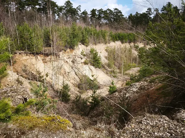In der Wedemark: Diese ehemalige Sandabbaugrube hat sich die Natur wieder zurück erobert. | Foto: Shima Mahi