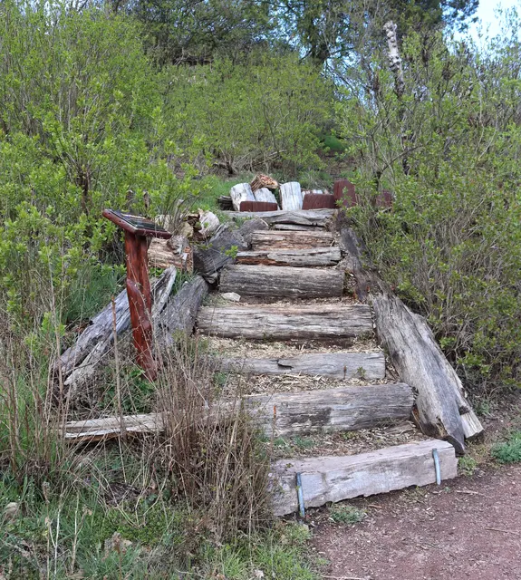 Baumstufenweg