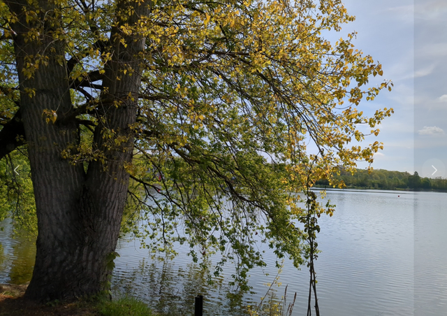 Der Bertasee im Sportpark Duisburg | Foto: Astrid Günther