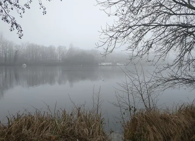 Bertasee im Nebel | Foto: Astrid Günther