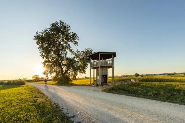Kunst-Kultur-Ried-Tour: Vogelbeobachtungsturm in Blindheim | Foto: Heiko Grandel