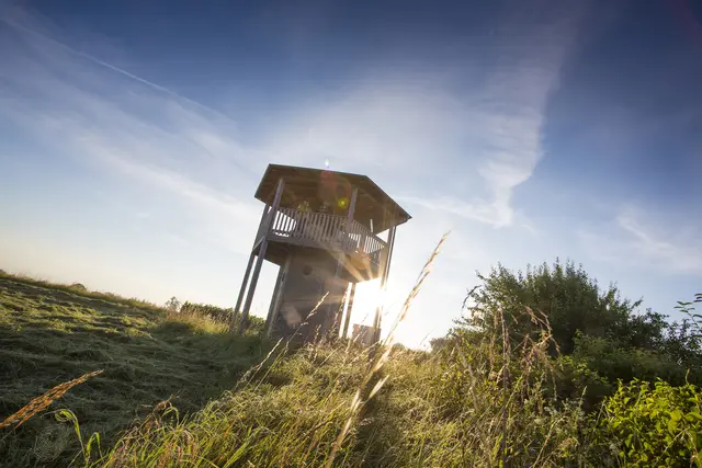 Moor-Wasser-Tour: Donaumoos Aussichtsturm | Foto: Fouad Vollmer