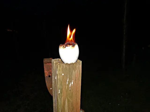 Foto: GvMeegen