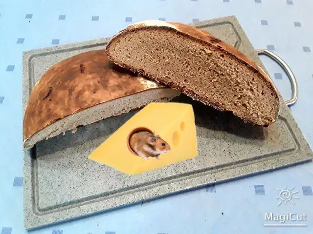 Da wollte ich doch zu meinem frischgebackenen Bauernbrot ein Stück Käse 🧀essen,
und dann so etwas 🐁😭 