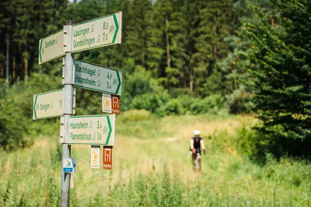 Donautal-Alb-Tour: Unterwegs im Dillinger Land | Foto: saddlestories.at