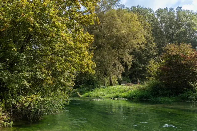 Moor-Wasser-Tour: Brenzufer an der Umweltstation mooseum | Foto: Dillinger Land e.V., Heiko Grandel