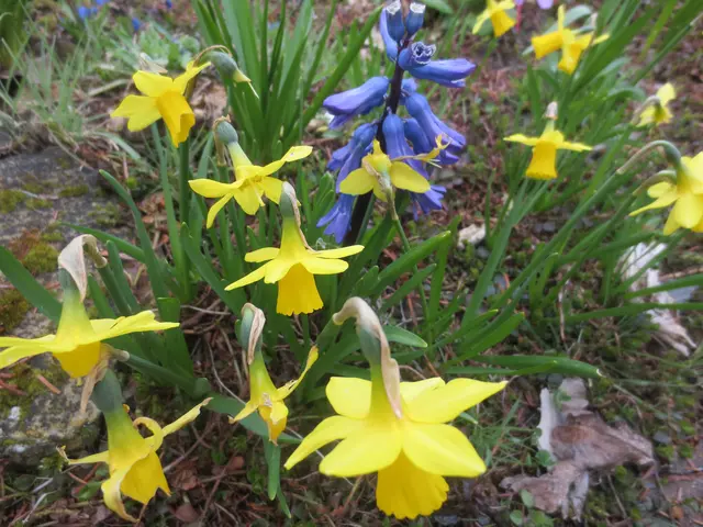 Gelb und blau sieht gut aus.