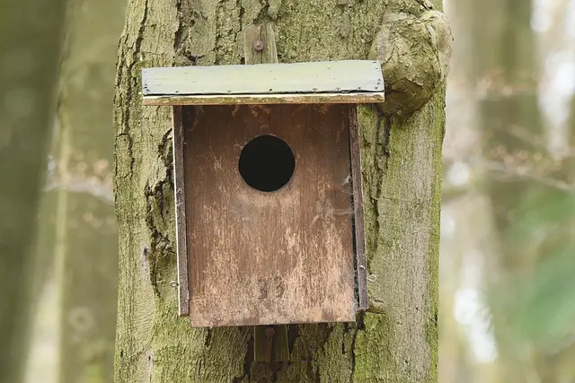 Foto: Copyright Andreas Schäfer