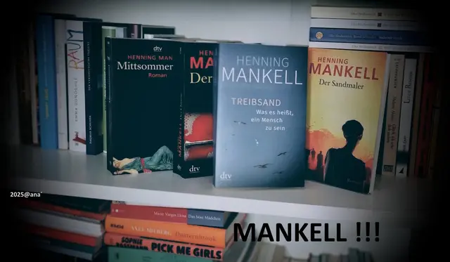 Bücher Regal