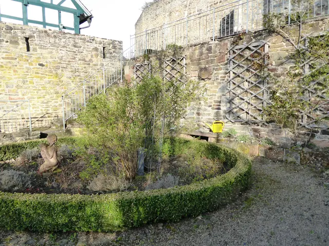Rosengarten 2026-14, 05.04.2026.