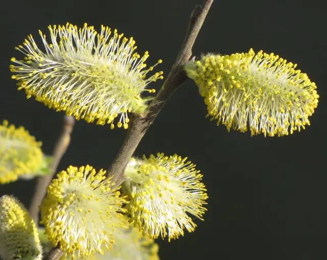 Endlich ist der Winter vorbei. | Foto: Kurt Wolter