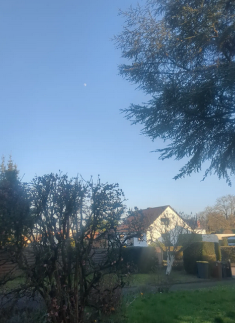 Hackenheim | Foto: Astrid Günther