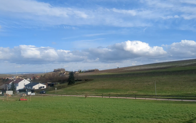 Hackenheim | Foto: Astrid Günther