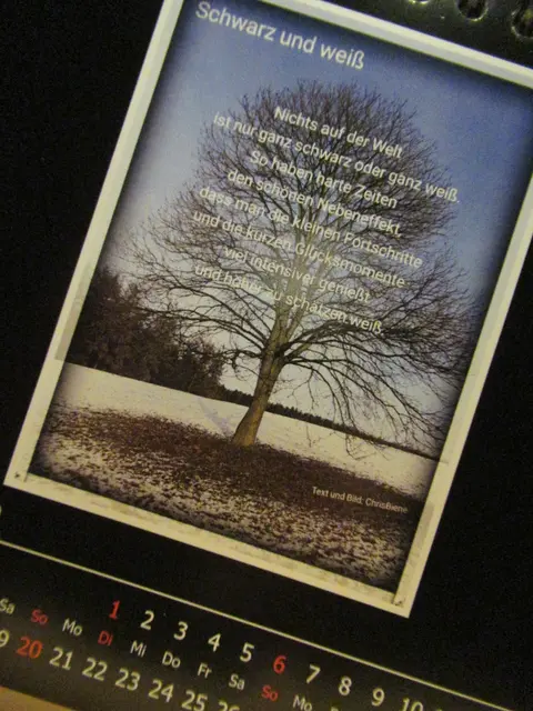 Kalender-Foto und Text von Christiane Bienemann
( von mir im Januar 2019 ab´geknippst)