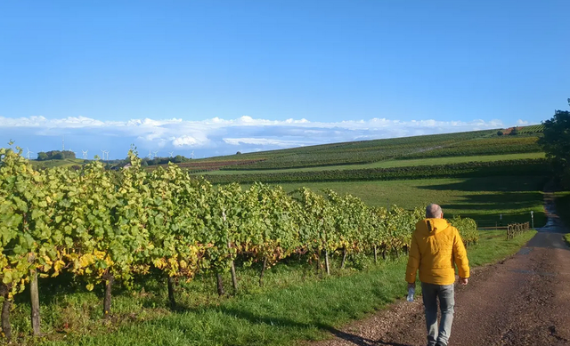 Hackenheim | Foto: Astrid Günther