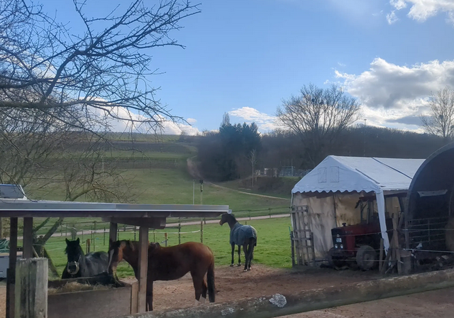 Hackenheim | Foto: Astrid Günther