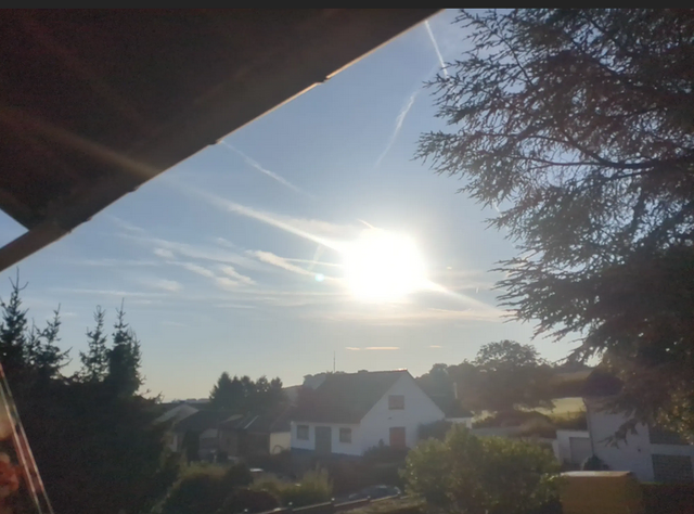 Hackenheim | Foto: Astrid Günther