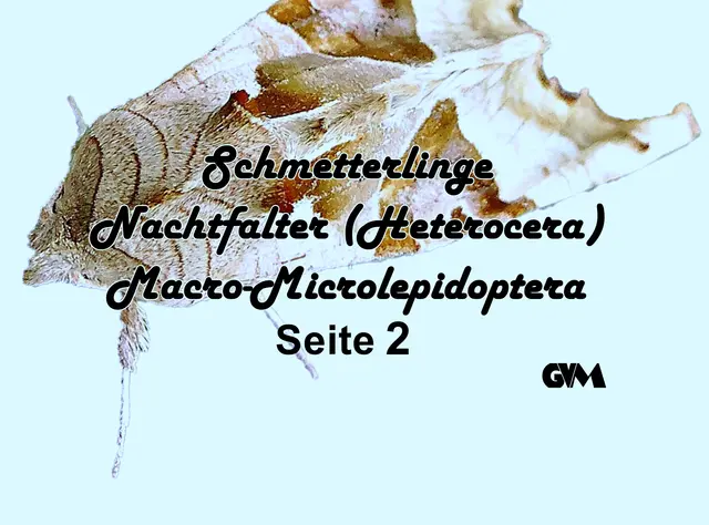 Foto: GvMeegen
