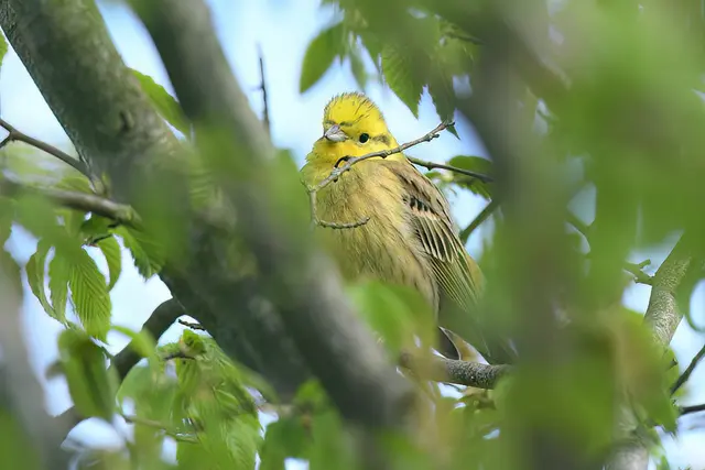 Foto: Copyright Andreas Schäfer